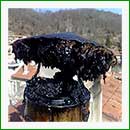 Logo blog creosoto caldaie legna